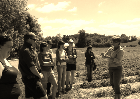 screen-shot-2016-12-10-at-6-36-38-pm